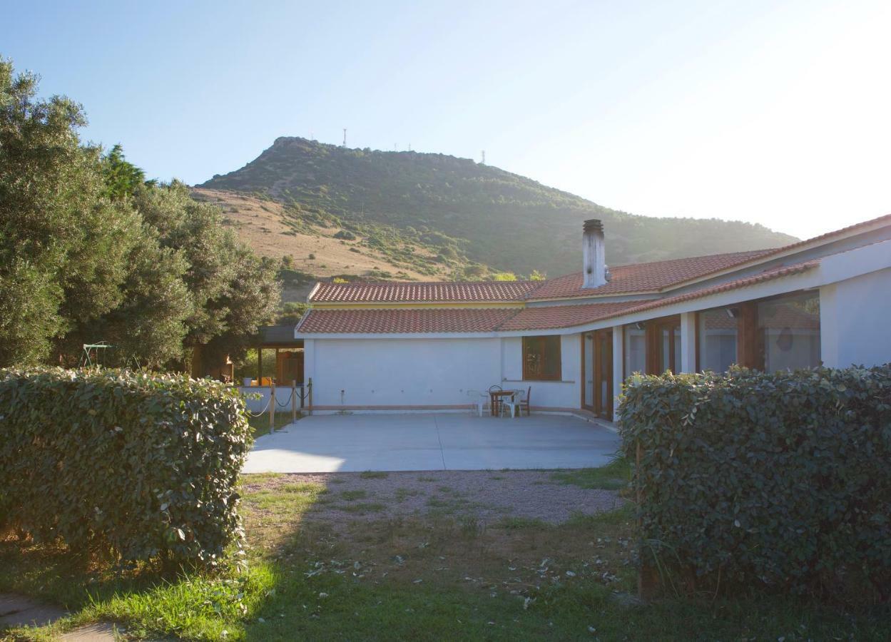 Palalama Valledoria Kültér fotó